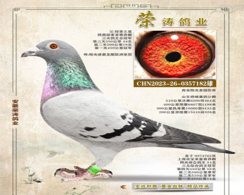 ̽��֮�ǣ�ֱ��182