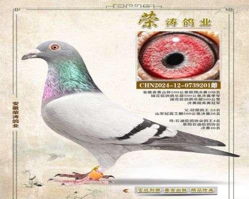 �����ܹھ�