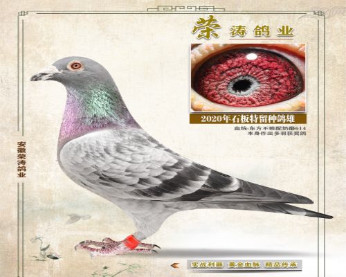 ����һ����