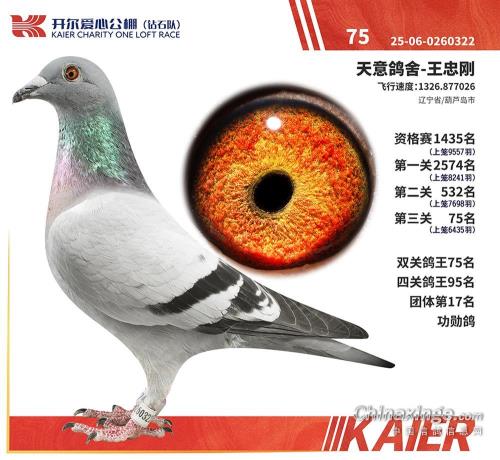 ����322�����ۣ�