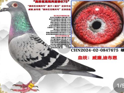 �����ϲ���