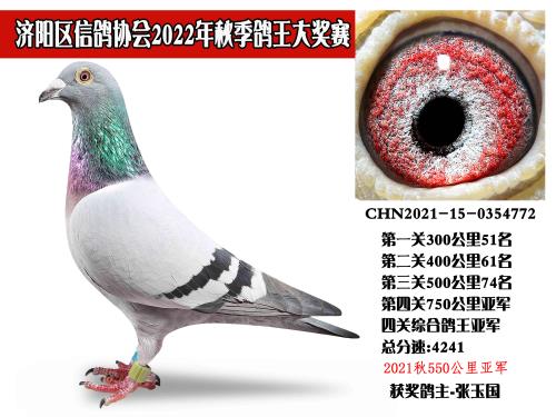 ��ʿ����