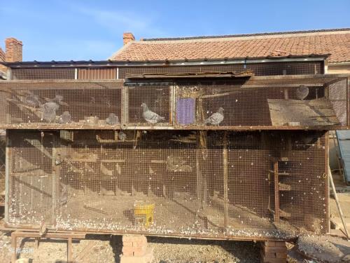 �������¸���