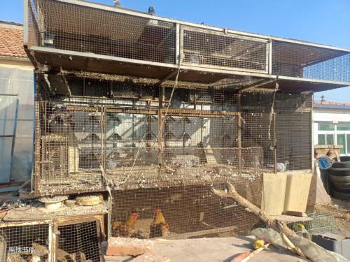 �������¸���