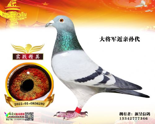 �����Ÿ�