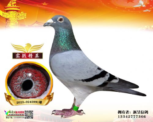 �����Ÿ�