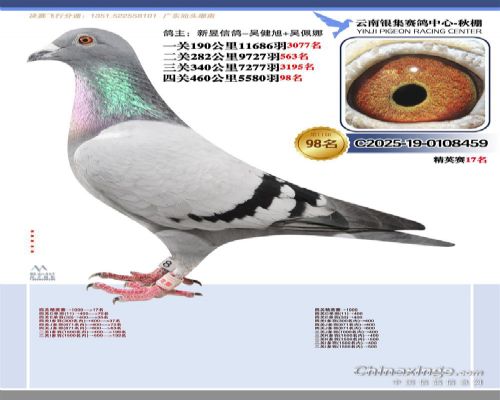 �����Ÿ�