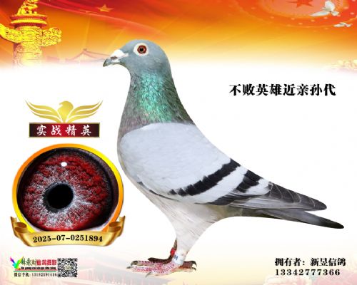 �����Ÿ�