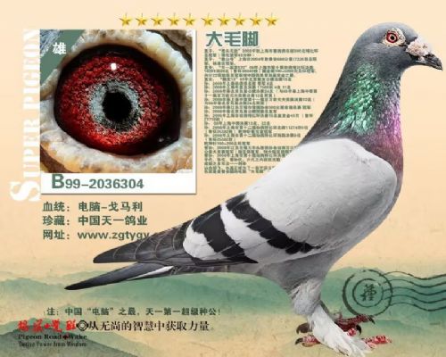 ��Ұ�������