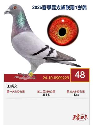 ��̫��48��