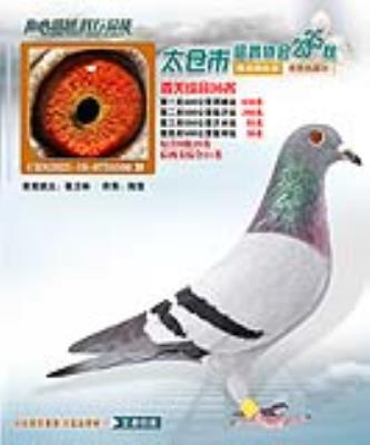 2025����ֲ����4��36��