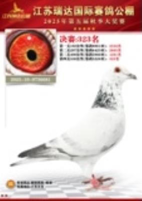 25�������323��