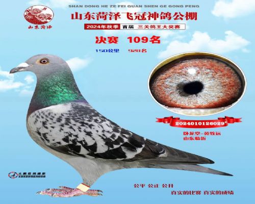 �ɹڹ���109��