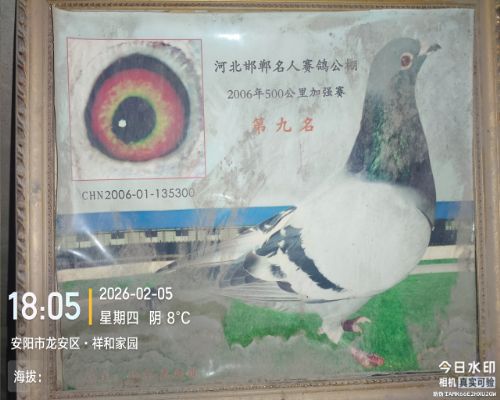 һ���ۿ�20�겻���ˣ������ֿ�ʼ��������ͷ��