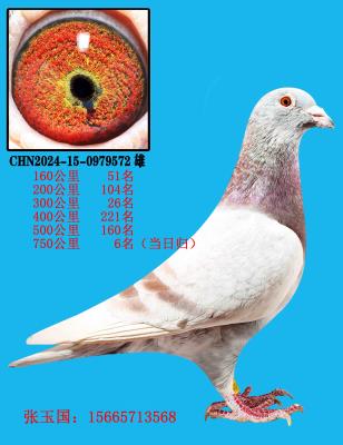 ��ѫ����238֮��