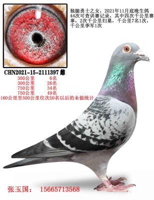 ������ʿ֮Ů