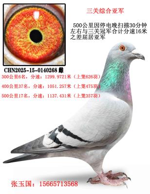 �����ǹ�ѫ����238ֱ��