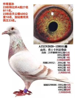 ��ѫ����238֮Ů