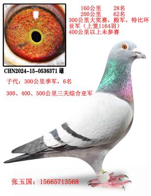 ��ѫ����238֮��