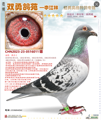 ��ĸ���ھ���