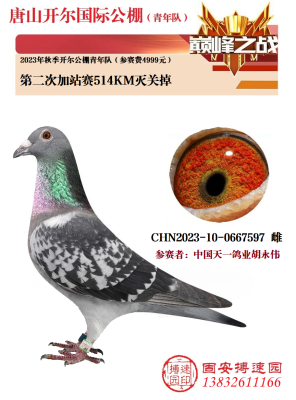 ������ս