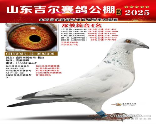 ɽ������˫�ظ���4λ