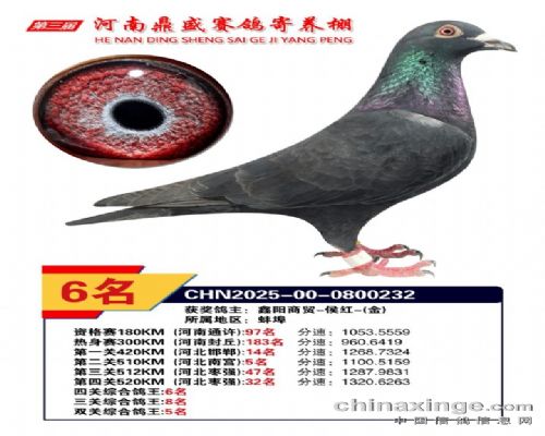 ���϶�ʢ�������Ĺظ���6λ