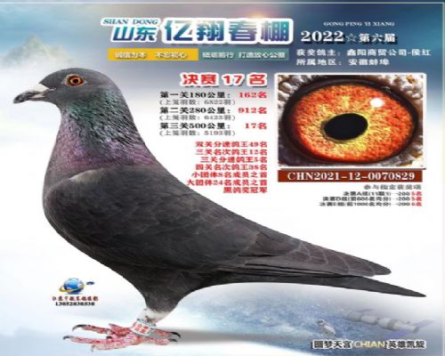 ɽ�����贺�����17��