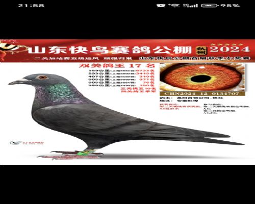 ɽ�������Ĺظ�������