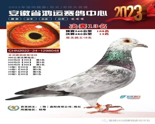 ���պ��˹������13��