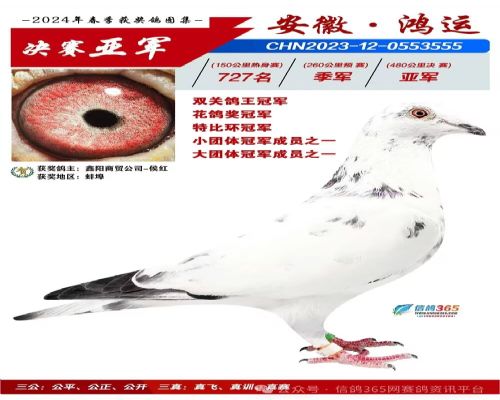 ���պ��˹�������Ǿ������ھ�