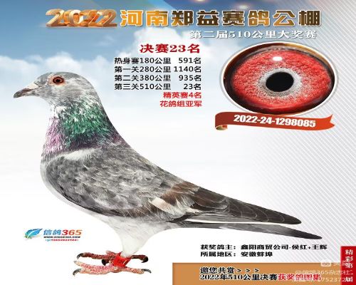 ����֣�湫�����23��