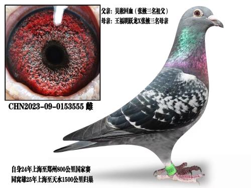 Ϋ����������