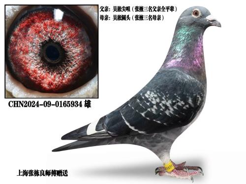 Ϋ����������