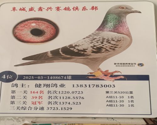 �����ҵ-�Ž���