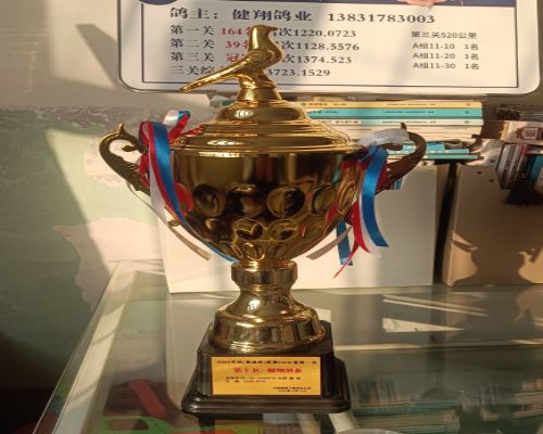 �����ҵ-�Ž���