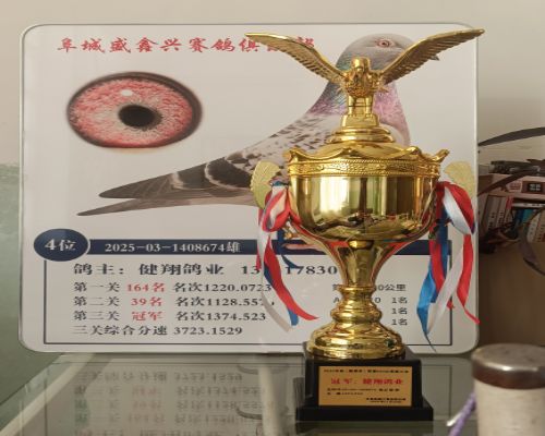 �����ҵ-�Ž���