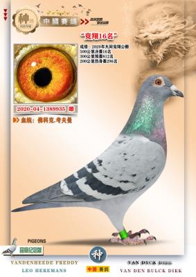 ����16 ��