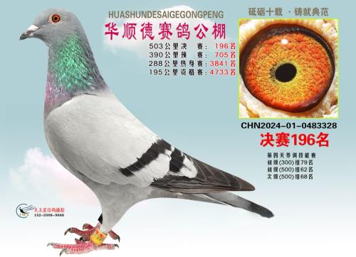 ���мҸ���