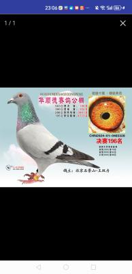 ���мҸ���