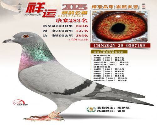 �������˸���33