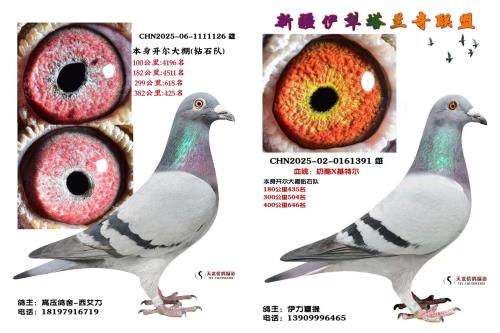 ����ˬ�����־�