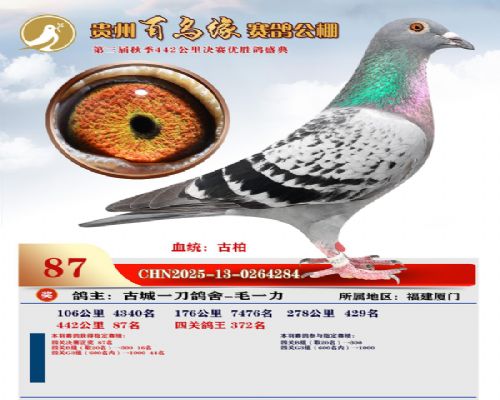 ŷ����Ʒϵ �Ű� ��ʤ��ϵ