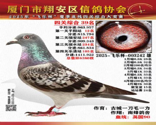 ŷ����Ʒϵ Ӣ��90 ������ȶ�