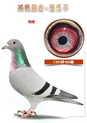 ���� �����ִ�