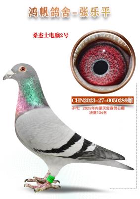 ɣ��ʿ ����2��