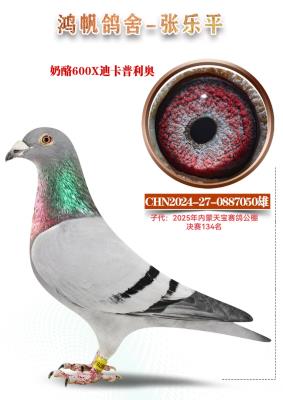 ����600��Ѫϵ