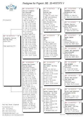 BE20-4037373Ѫ�y��