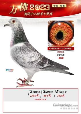 ����20��*�԰���ʿ