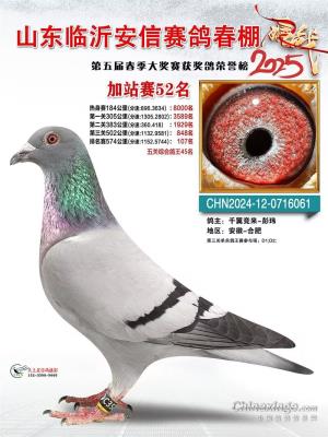 ����20��*�԰�